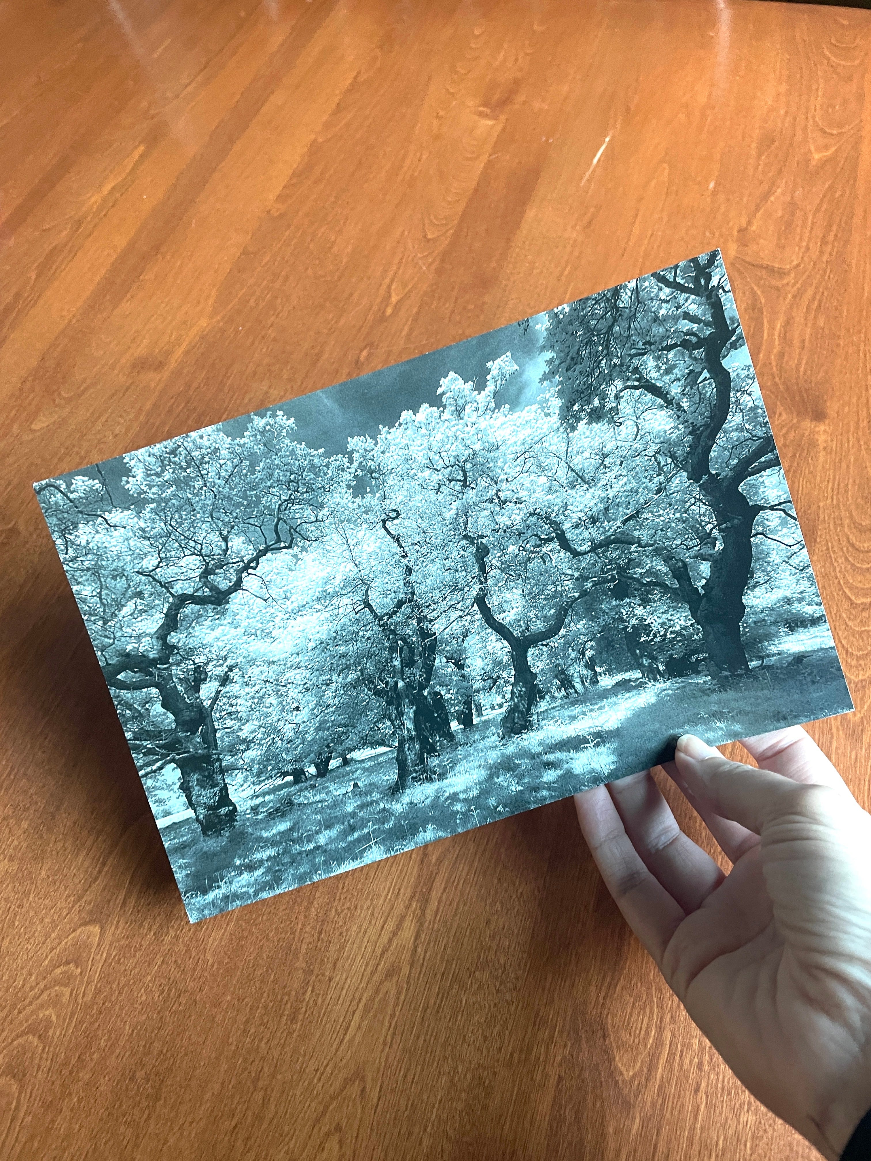 From Paul Jenkin (https://substack.com/profile/22416842-paul-jenkin), December 2025.