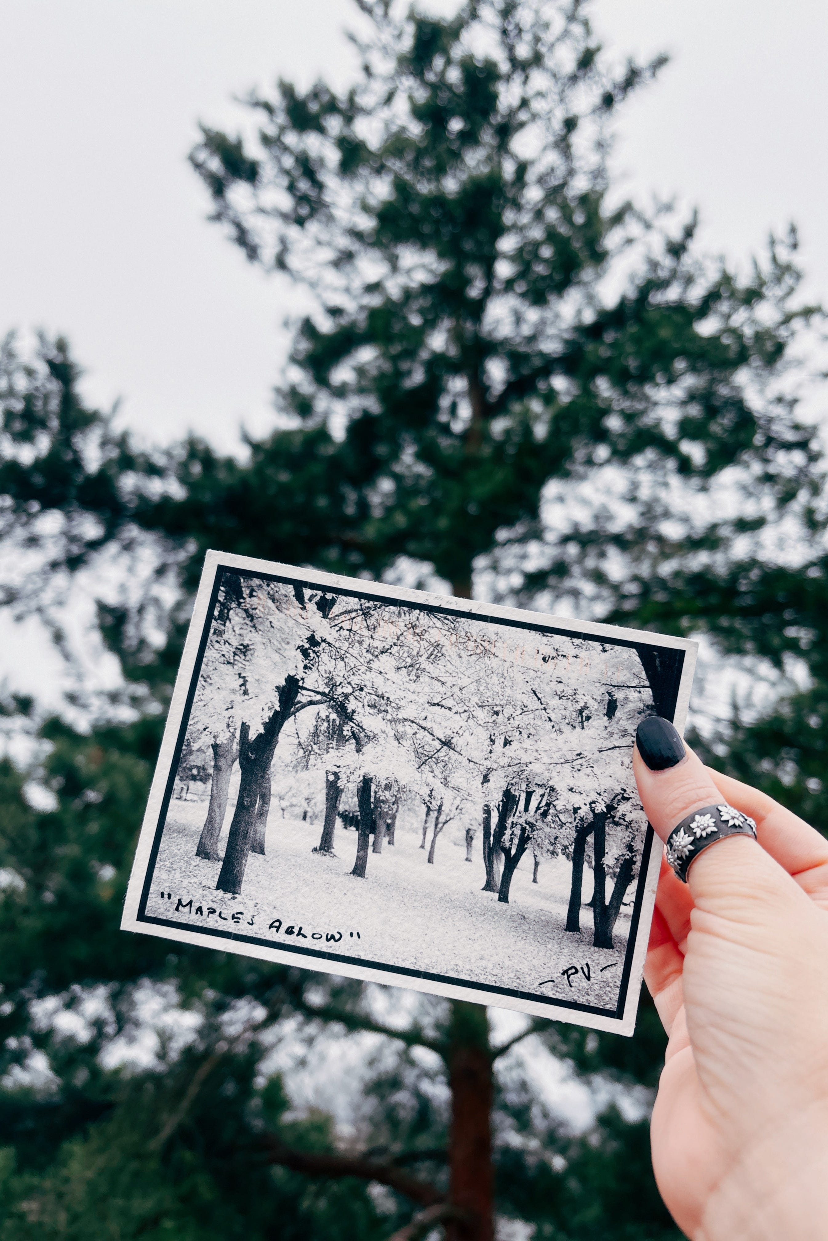 From Paul Votava (https://substack.com/profile/73188797-paul-votava), December 2025.