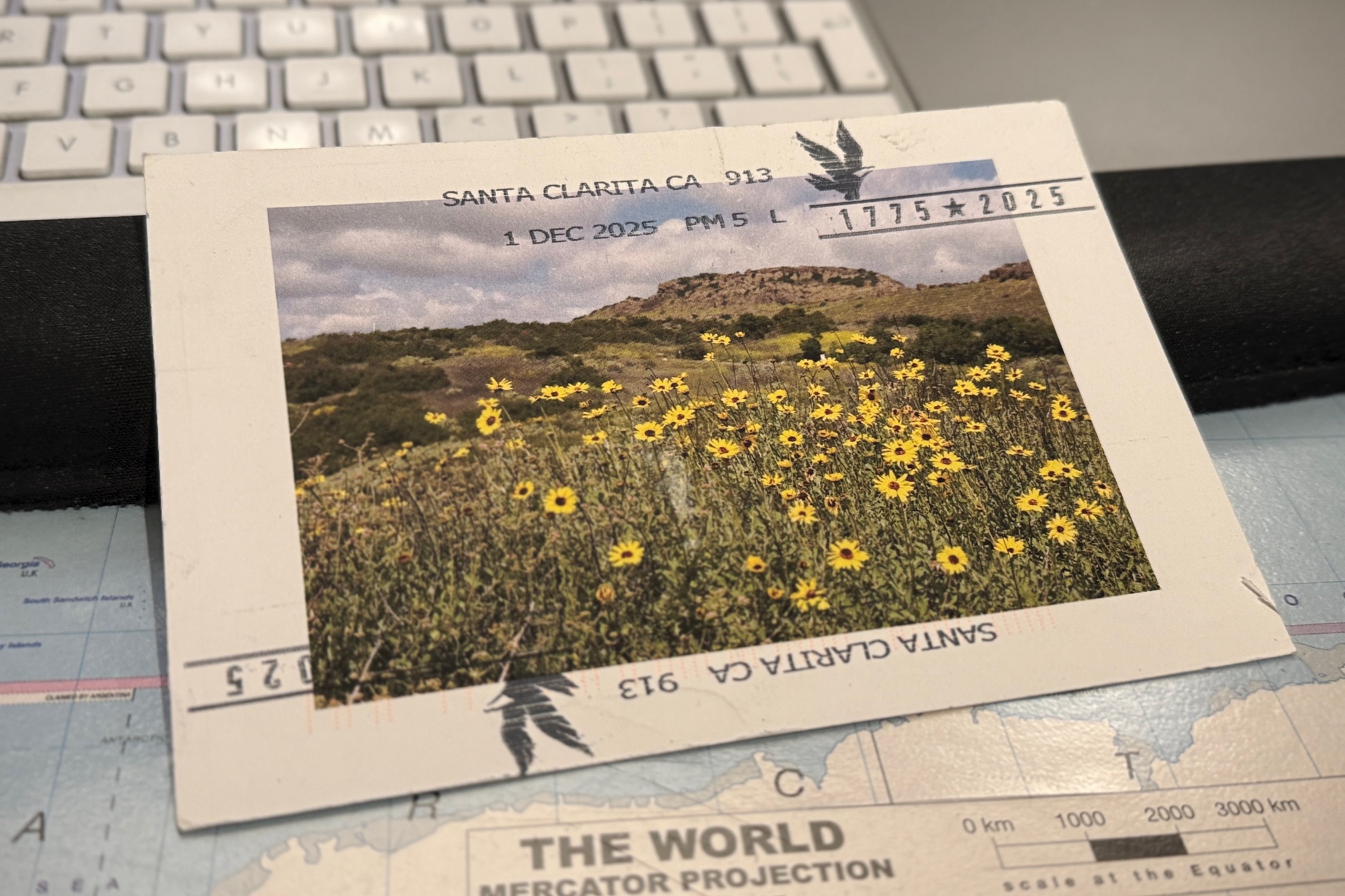 From Alicia (https://aliciapaley.substack.com), December 2025.