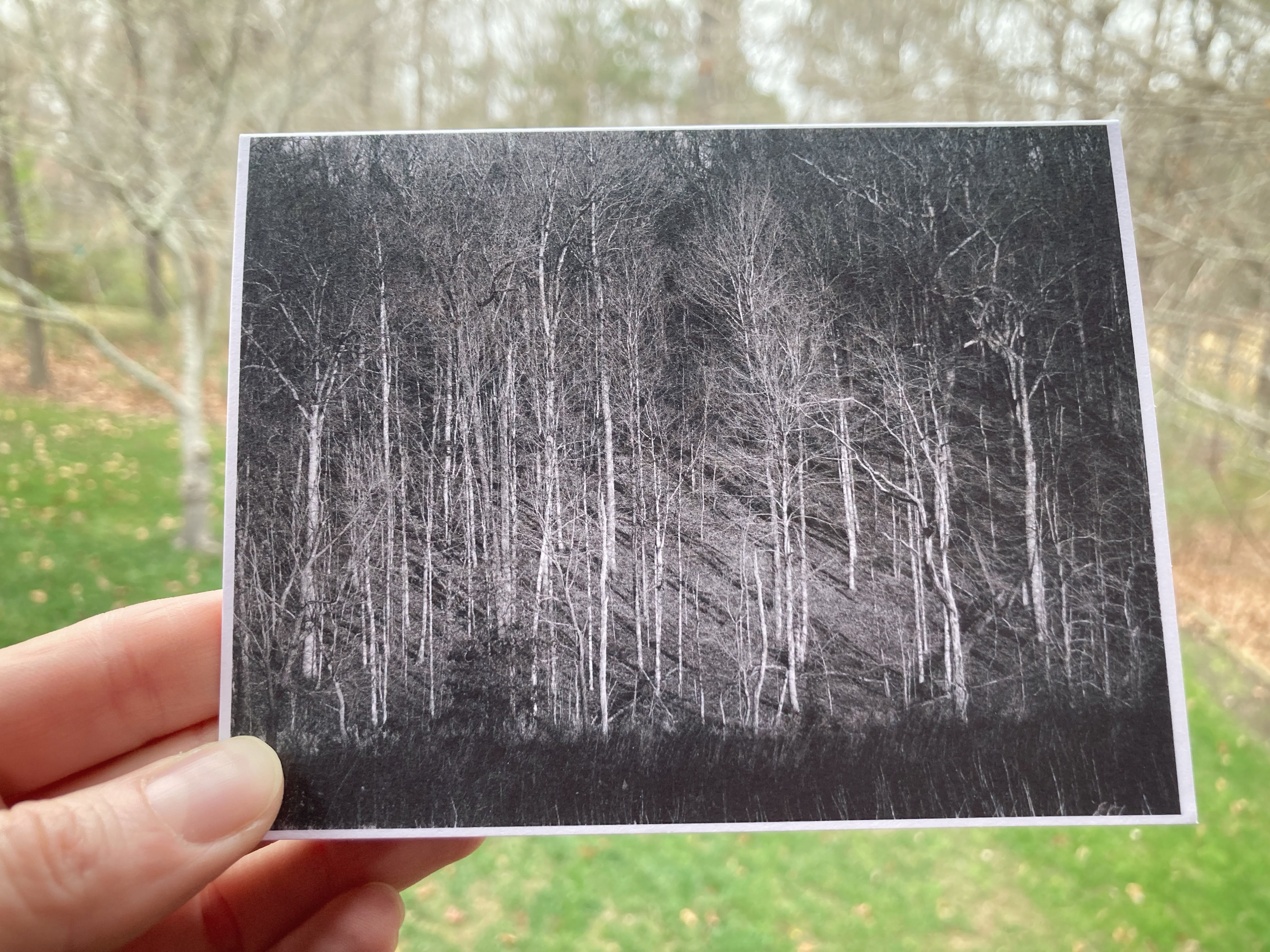 From Rick (https://substack.com/@rickdecorie668158), December 2025.