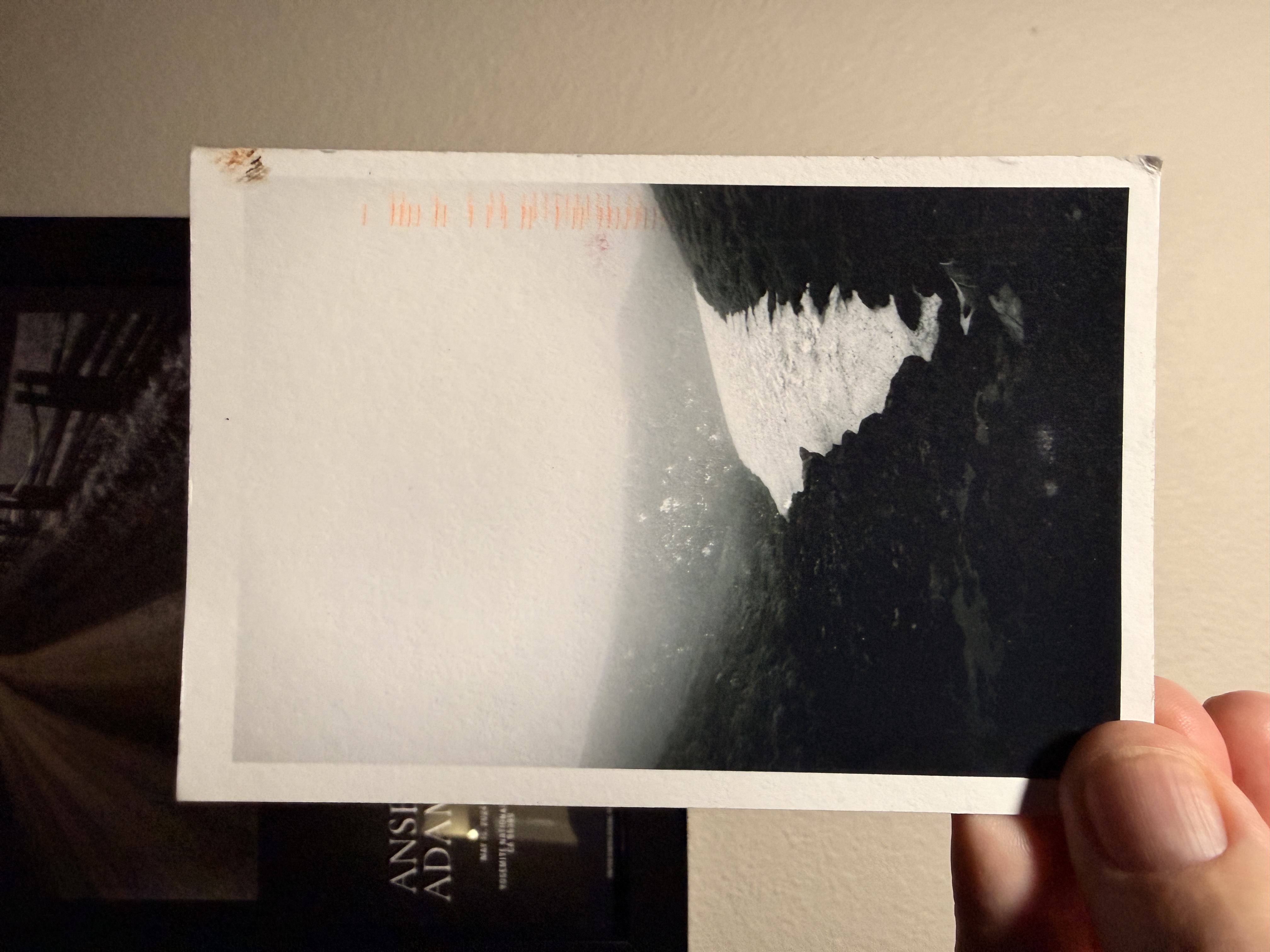 From Jill (https://substack.com/profile/73018014-jillphotos), December 2025.