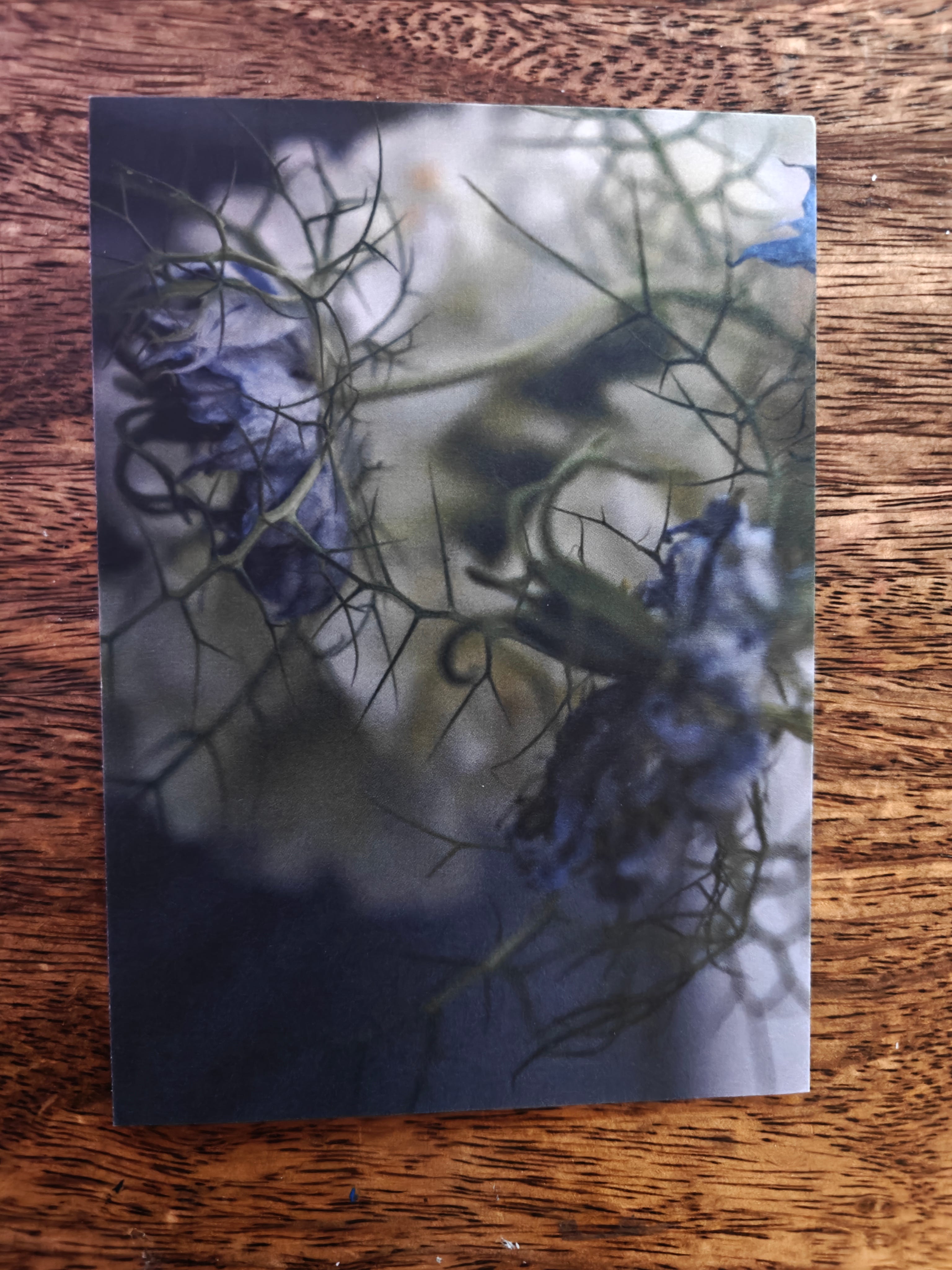 From Luz (https://substack.com/@mslux), December 2025.