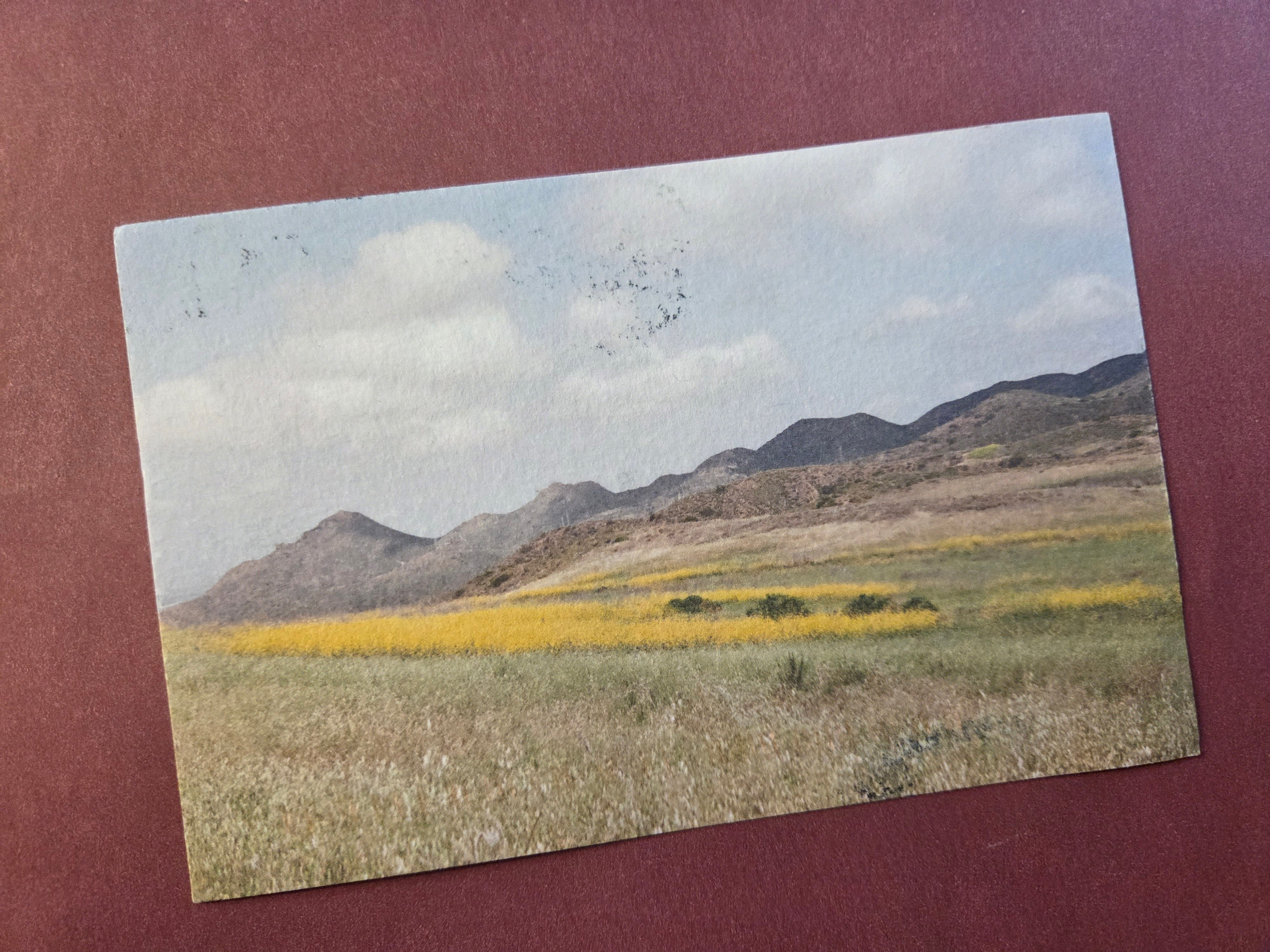 From Alicia (https://substack.com/@aliciapaley), February 2026.