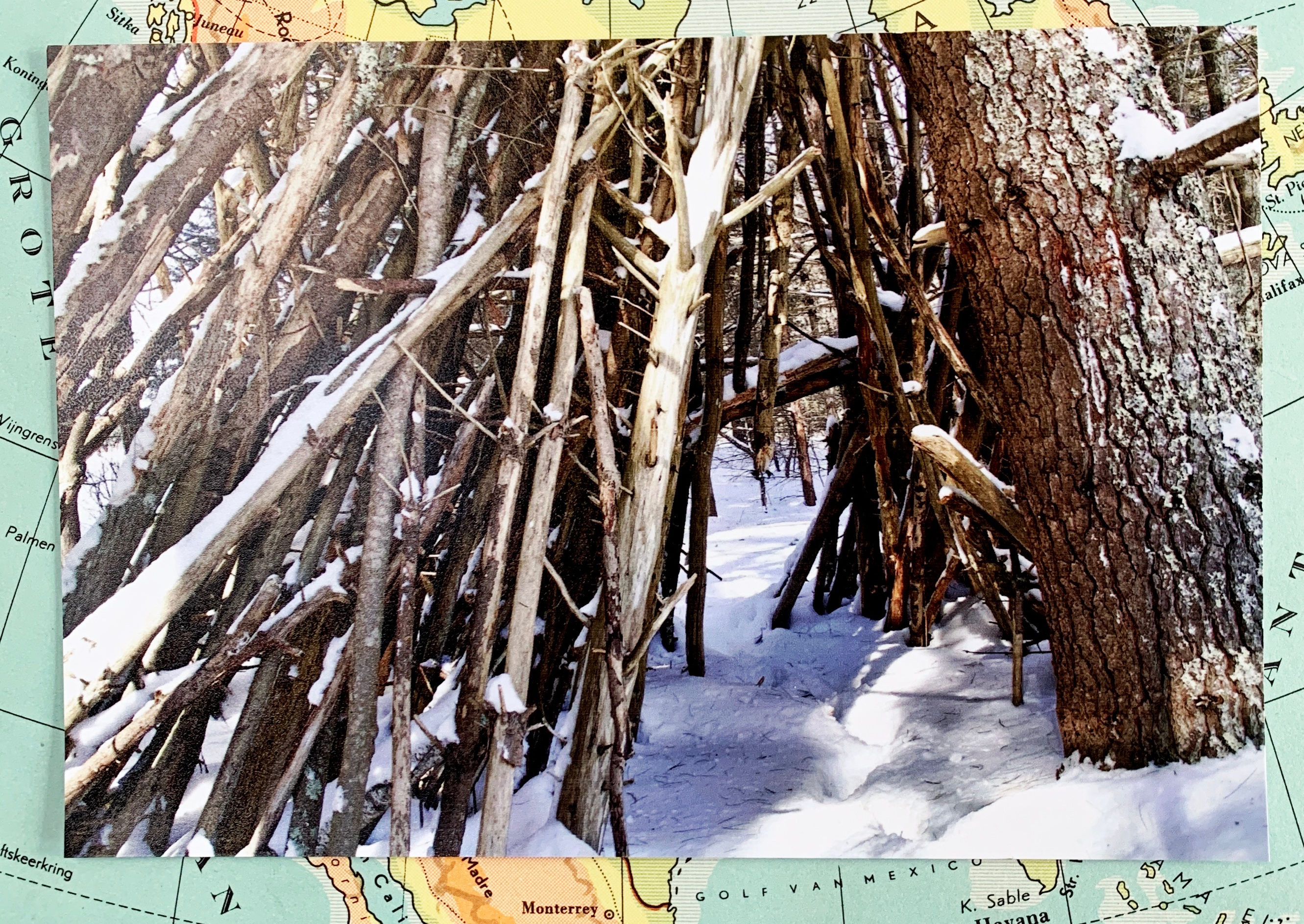 From Kate (https://substack.com/@katecaddell), February 2026.