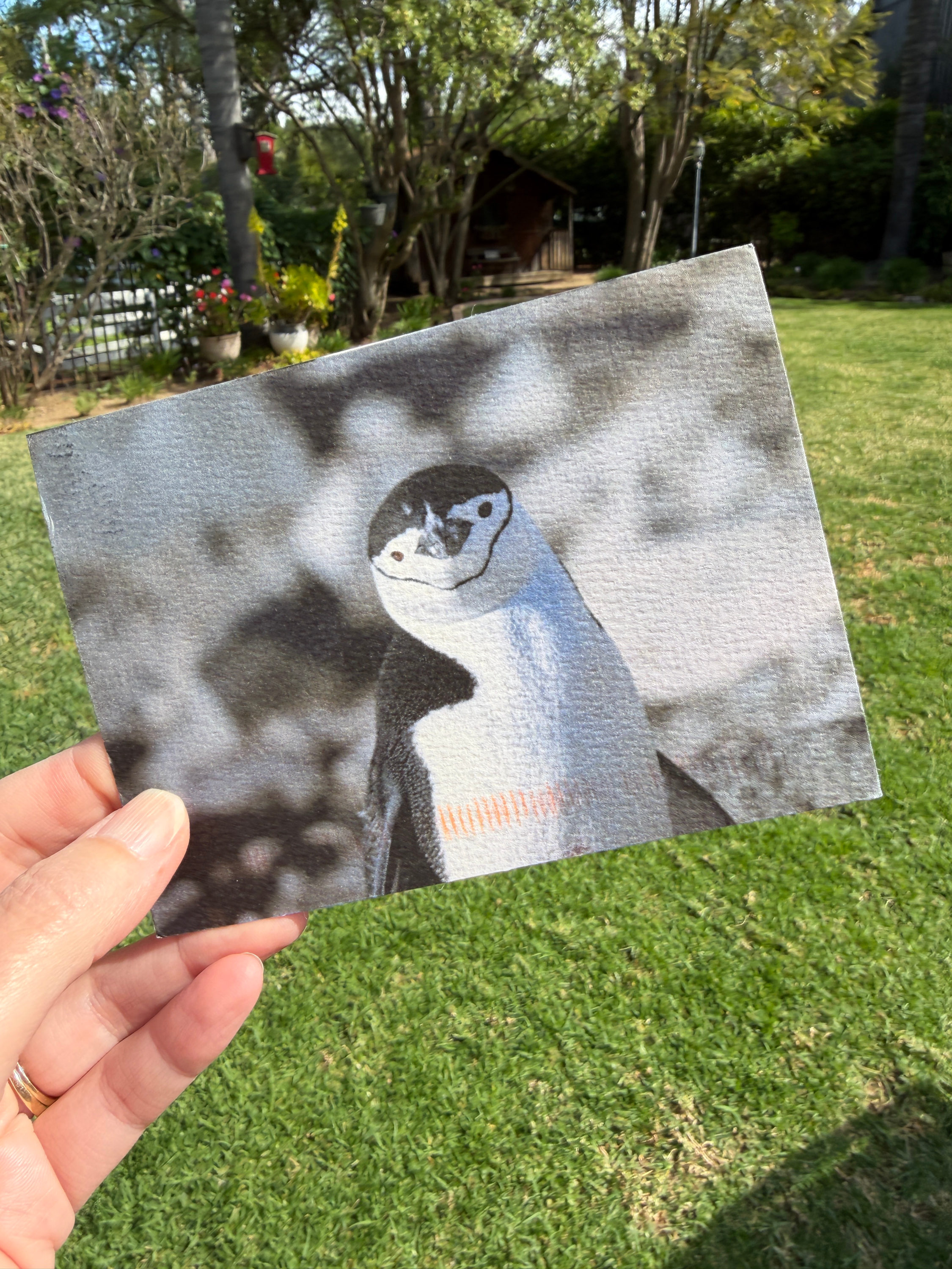 From Lauri (https://substack.com/@laurinovakphoto?), February 2026.