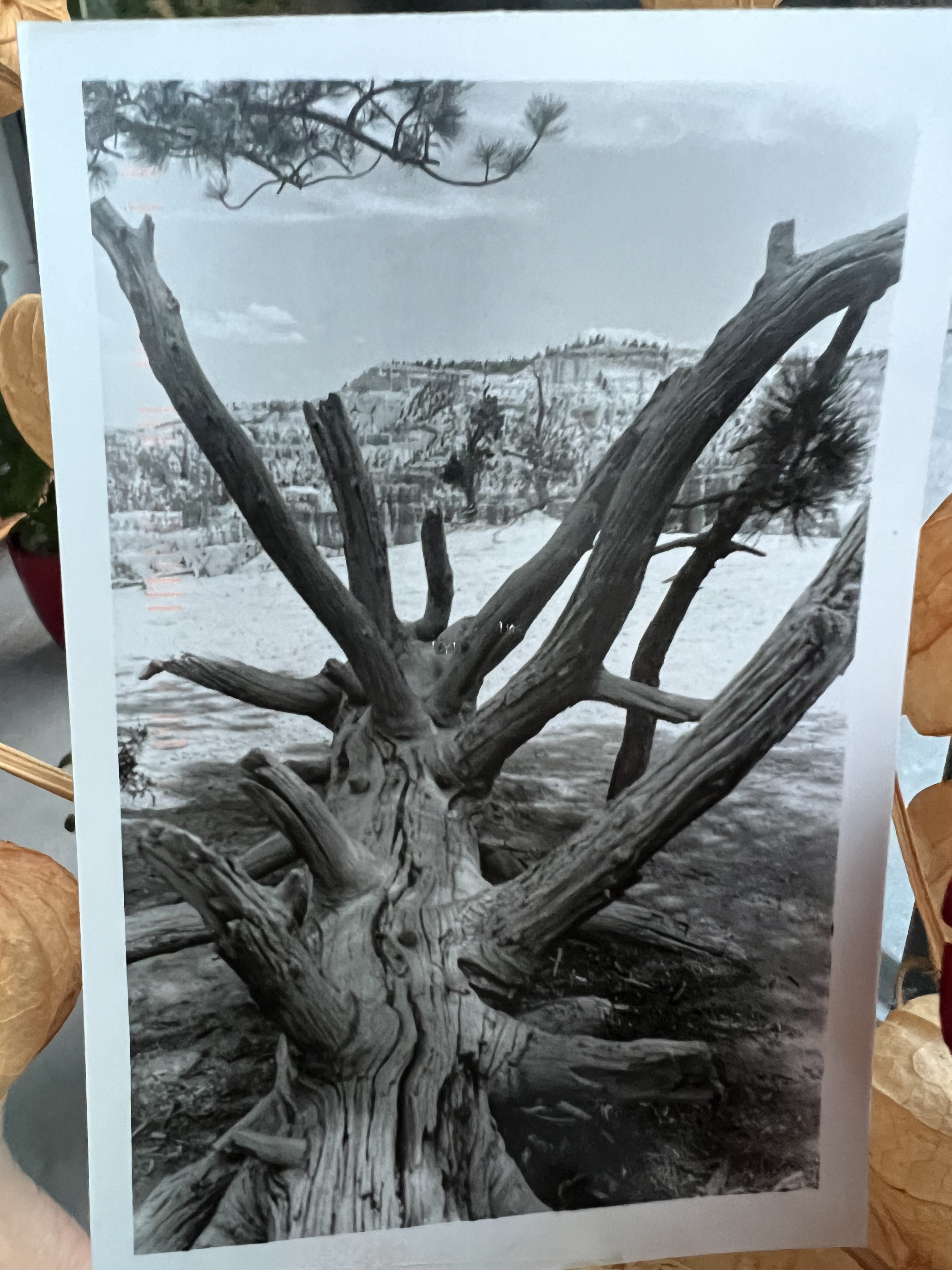 From Tim (https://substack.com/@timrohe), February 2026.