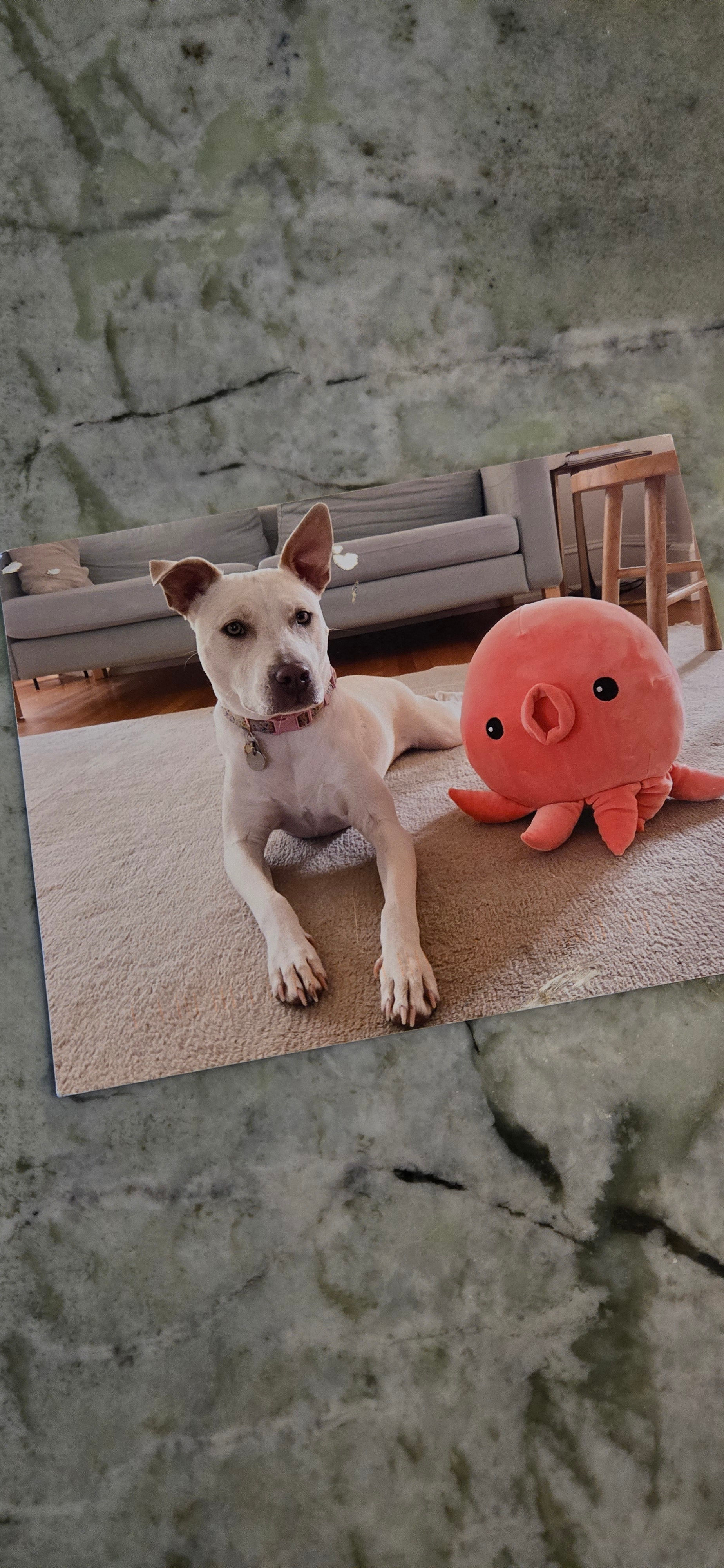 From Geoffrey (https://substack.com/profile/136968478-geoffrey-miller), April 2026.