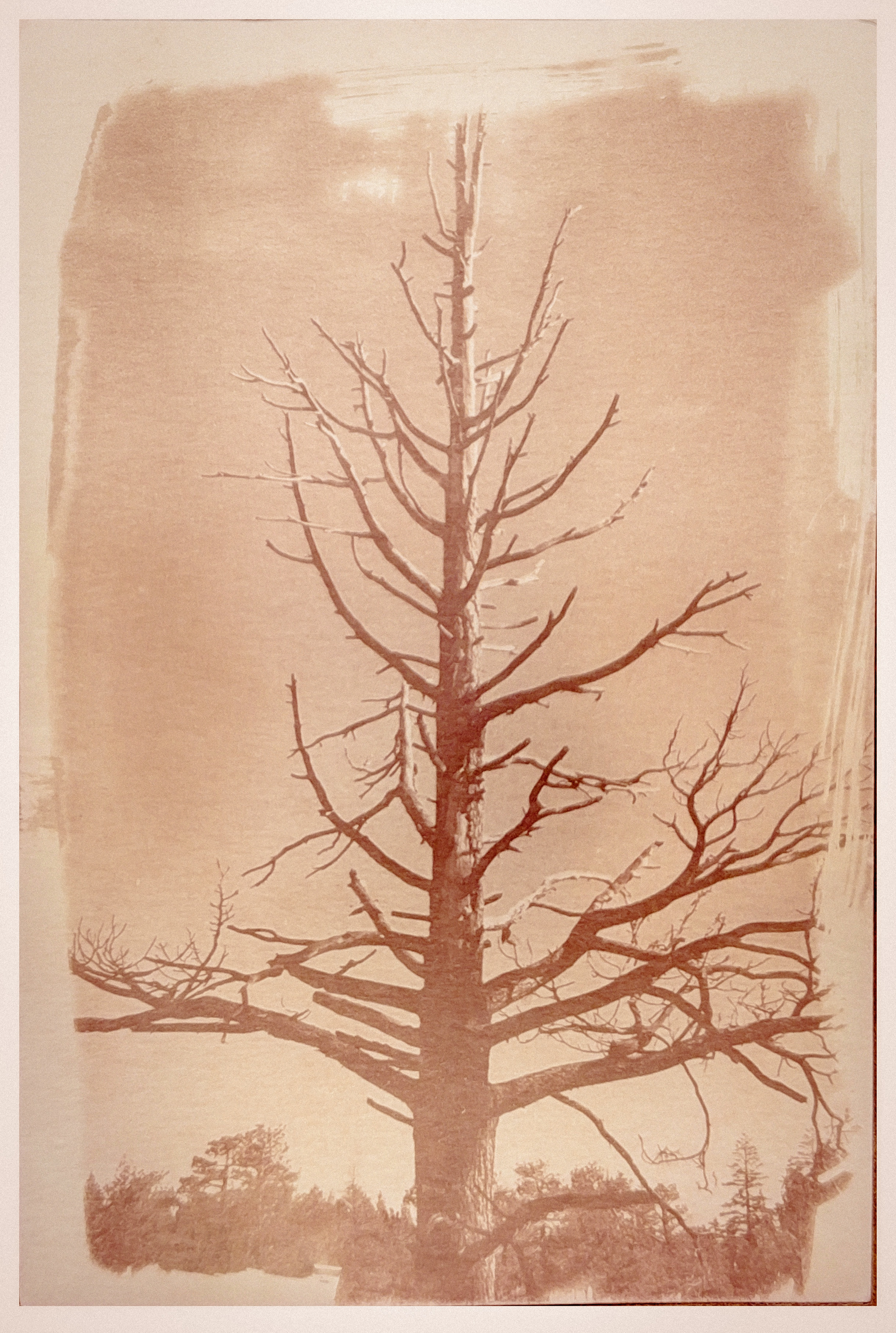 Postcard photo